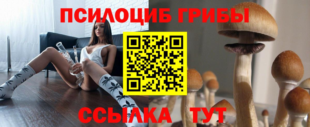 Псилоцибиновые грибы Cubensis Россошь